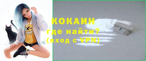 ешки Дмитриев