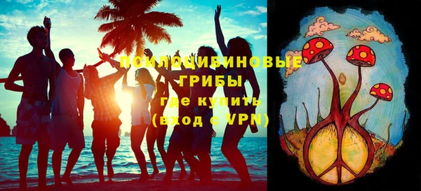 ECSTASY Алзамай